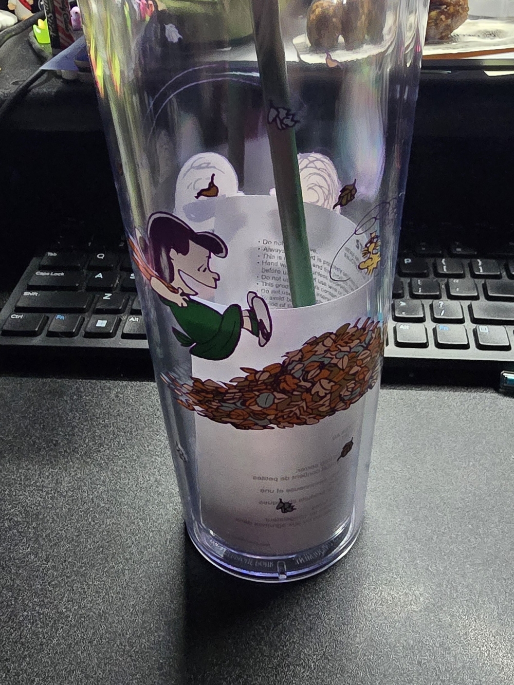 Snoopy + Starbucks 24oz Tumbler - Green & Brown
